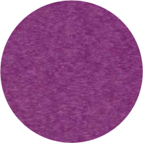Bright Purple